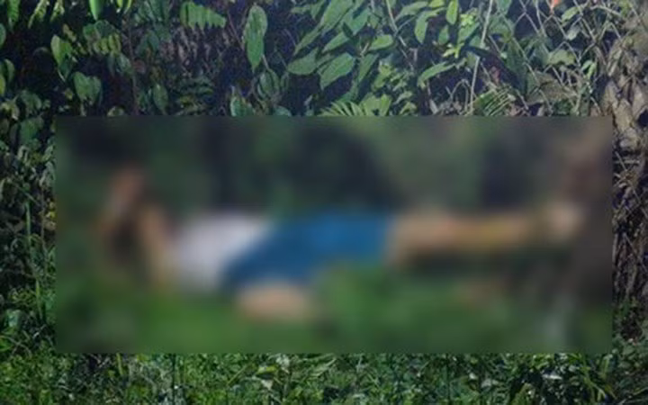 Chặt đầu hàng xóm vì đi vào đất vườn không xin phép ảnh 2