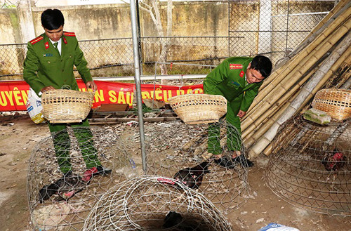 Gần 60 cảnh sát đột kích sới bạc, bắt 30 người ảnh 1