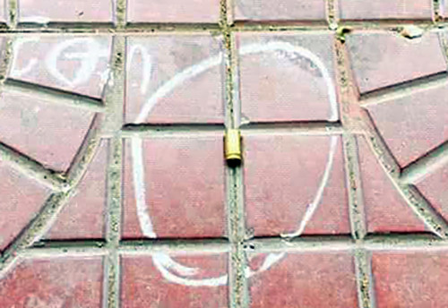 Hơn 100 cảnh sát vào rừng lùng bắt nhóm nghi can bắn chết người ảnh 1