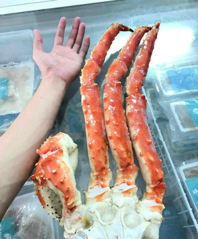 Chân cua hoàng đế dài hơn nửa mét giá vài triệu đồng một bộ ảnh 1