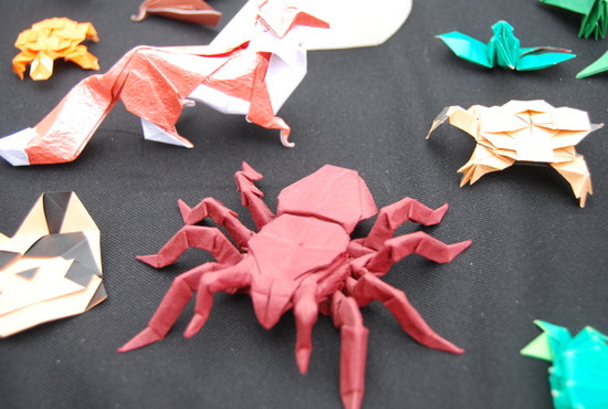 Tại một góc công viên, một bạn trẻ của câu lạc bộ Origami Hà Nội đang hướng dẫn các bạn sinh viên 