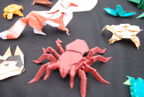 Tại một góc công viên, một bạn trẻ của câu lạc bộ Origami Hà Nội đang hướng dẫn các bạn sinh viên 