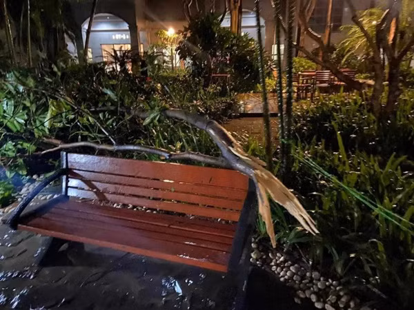 Mưa dông, gió mạnh ở Hà Nội vào cuối tuần vừa rồi khiến nhiều cây gãy đổ. Ảnh: Congthuong.vn.