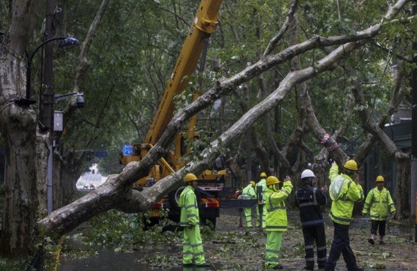 Lực lượng chức năng đang dọn cây đổ ở Thượng Hải (Trung Quốc) sau khi bão Bebinca đi qua. Ảnh: Chen Haoming/ Xinhua via AP. Lực lượng chức năng đang dọn cây đổ ở Thượng Hải (Trung Quốc) sau khi bão Bebinca đi qua. Ảnh: Chen Haoming/ Xinhua via AP.