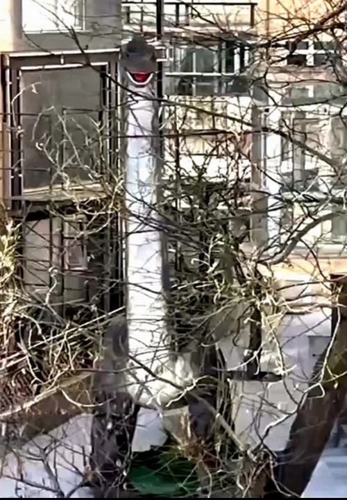 Mỗi lần nhìn ra ngoài lại thấy con khủng long nhìn vào nhà mình và há miệng khiến anh Tong rất sợ hãi. Ảnh: Weibo. Mỗi lần nhìn ra ngoài lại thấy con khủng long nhìn vào nhà mình và há miệng khiến anh Tong rất sợ hãi. Ảnh: Weibo.