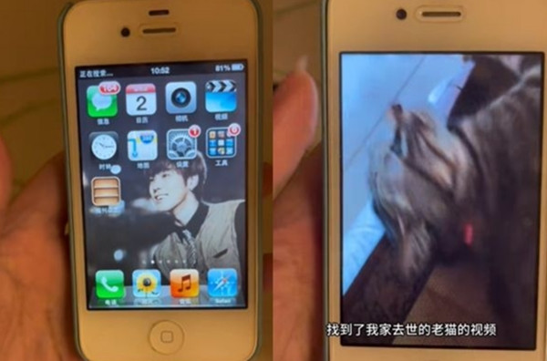 Mở được rồi, và "gặp lại" em mèo (trong video) rồi! Ảnh: Douyin.