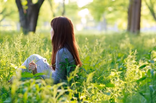 Thiên nhiên có khả năng chữa lành kỳ diệu. Ảnh: BBC.