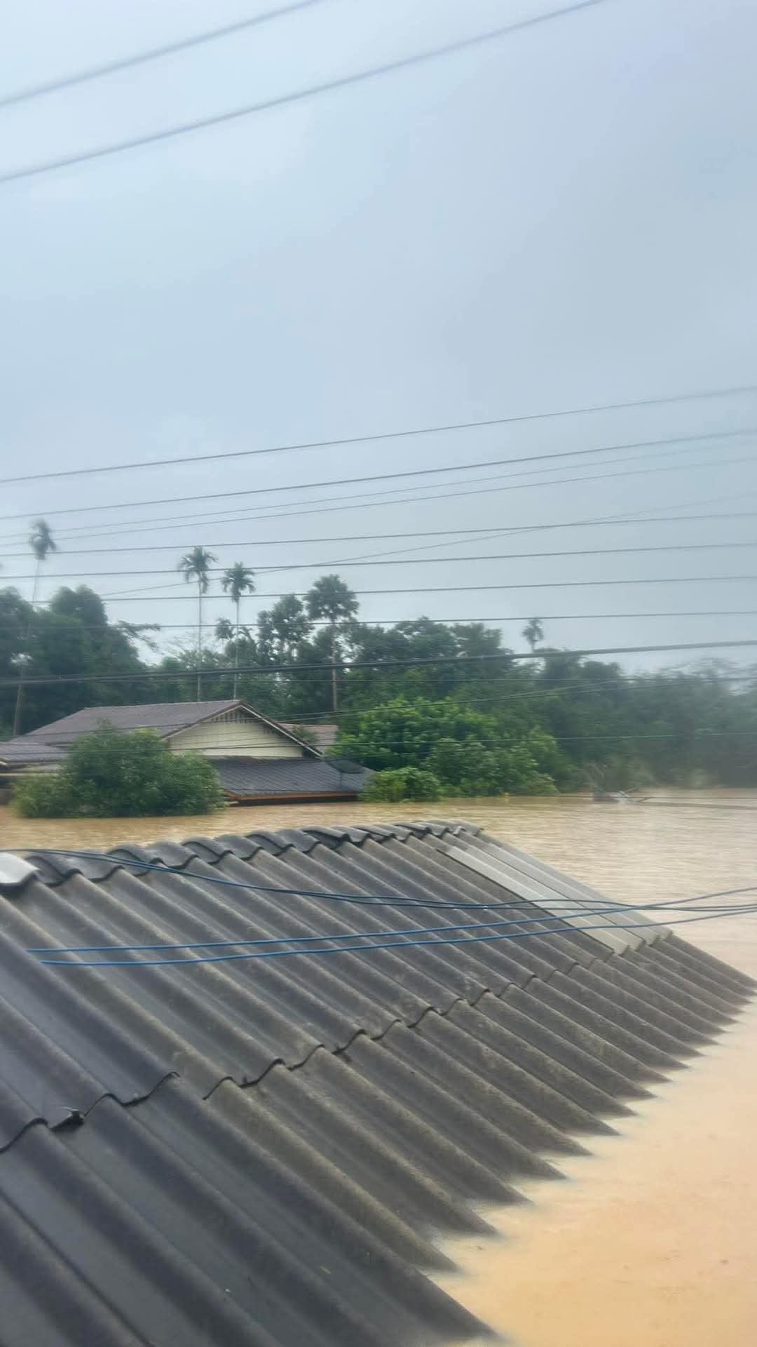 Nơi đã từng là một khu làng ở tỉnh Songkhla (Thái Lan) bây giờ chìm trong nước. Mà mưa vẫn đang rơi và nước vẫn đang dâng. Ảnh: Kidj3irht. Nơi đã từng là một khu làng ở tỉnh Songkhla (Thái Lan) bây giờ chìm trong nước. Mà mưa vẫn đang rơi và nước vẫn đang dâng. Ảnh: Kidj3irht.