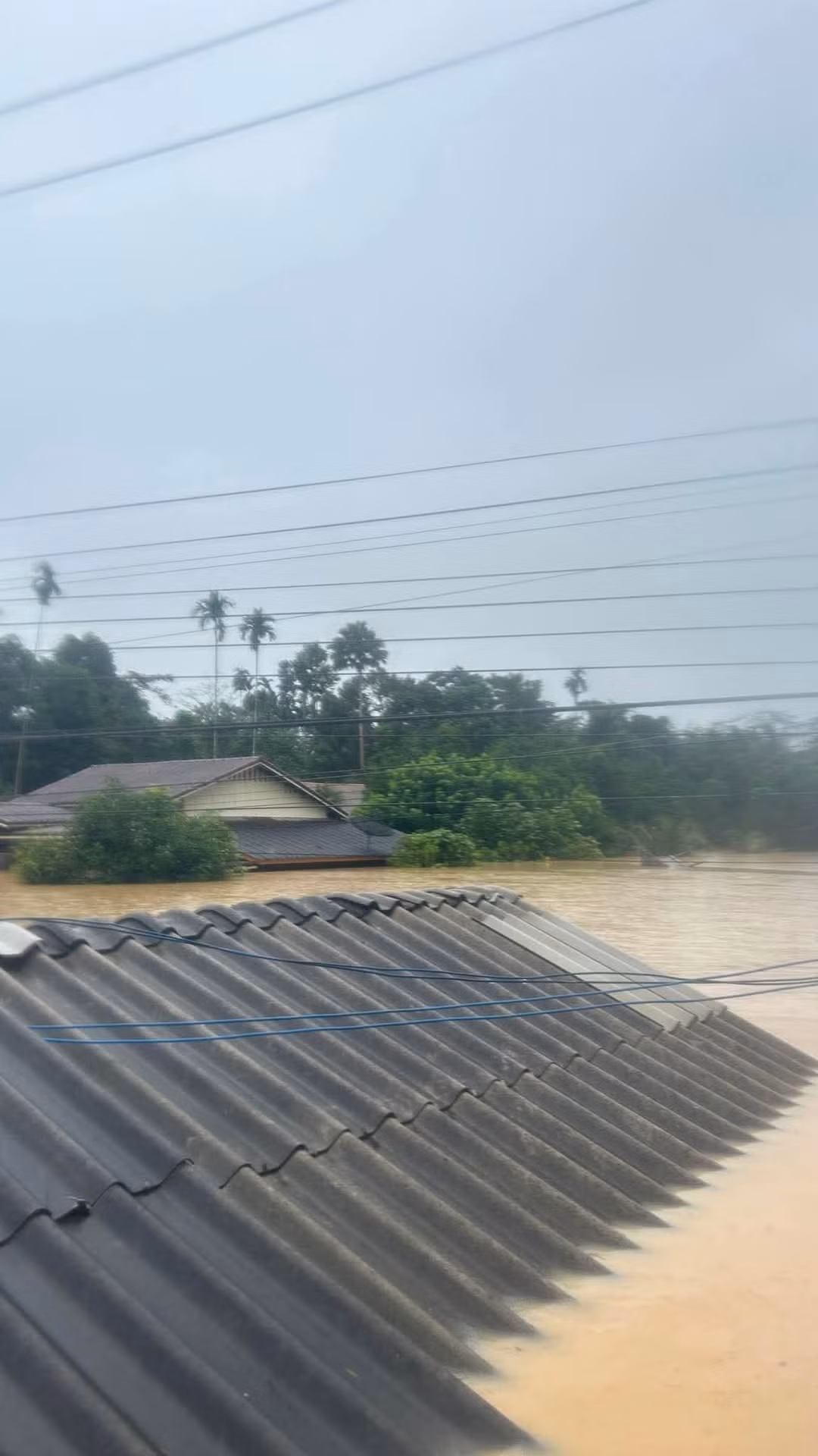Nơi đã từng là một khu làng ở tỉnh Songkhla (Thái Lan) bây giờ chìm trong nước. Mà mưa vẫn đang rơi và nước vẫn đang dâng. Ảnh: Kidj3irht. Nơi đã từng là một khu làng ở tỉnh Songkhla (Thái Lan) bây giờ chìm trong nước. Mà mưa vẫn đang rơi và nước vẫn đang dâng. Ảnh: Kidj3irht.
