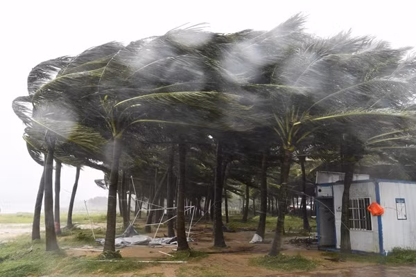Cây cối bị gió mạnh của bão Yagi thổi bạt trên một con đường ở Hải Khẩu (tỉnh Hải Nam, Trung Quốc) vào ngày 6/9. Ảnh: Yang Guanyu/ Xinhua via AP.