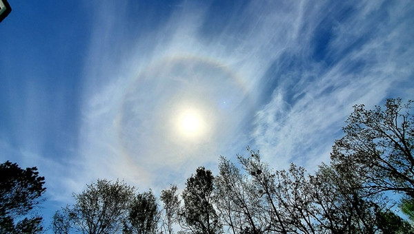 Hào quang Mặt Trời ở North Carolina (Mỹ) - có thể thấy cả màn mây ti mỏng. Ảnh: Rick Beacham.