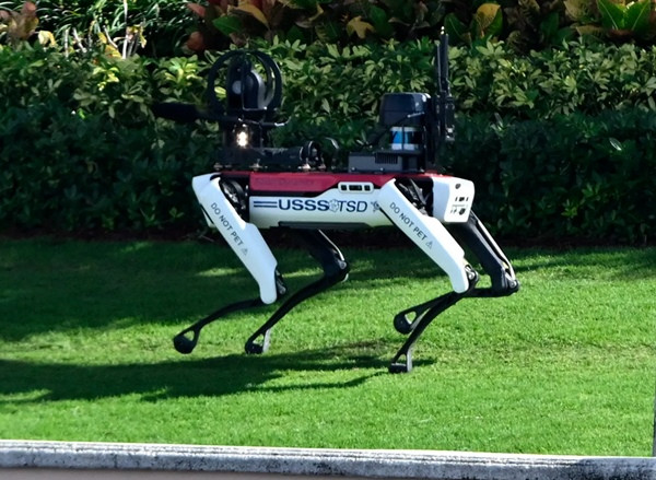 Chú chó robot tham gia bảo vệ dinh thự của Tổng thống đắc cử Donald Trump. Ảnh: MEGA for NY Post. Chú chó robot tham gia bảo vệ dinh thự của Tổng thống đắc cử Donald Trump. Ảnh: MEGA for NY Post.