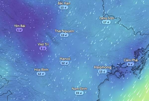 Hướng (Đông Bắc) và tốc độ gió (km/h) ở một số tỉnh thành miền Bắc vào sáng mai, 2/11. Ảnh: Zoom Earth, OpenStreetMap, DWD.