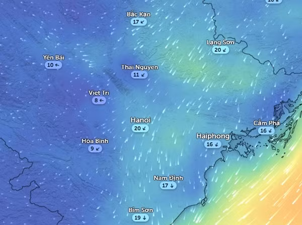 Hướng và tốc độ gió (km/h) ở một số tỉnh thành miền Bắc vào sáng 22/1. Ảnh: Zoom Earth, OpenStreetMap.