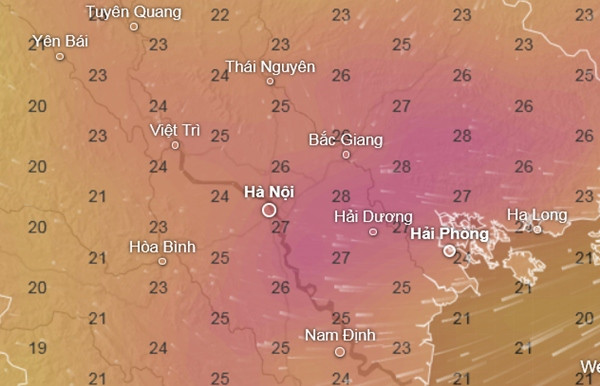 Nhiệt độ cảm nhận ở một số tỉnh thành miền Bắc vào khoảng 19 - 20/11: Gió mùa Đông Bắc về sẽ khiến nhiệt độ giảm, dù không nhiều. Ảnh: Ventusky, GFS.