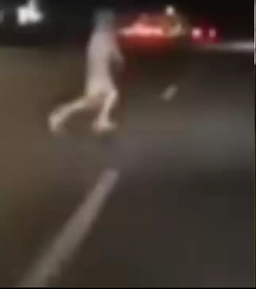 "Cái bóng" bí ẩn trên đường cao tốc ở Philippines. Ảnh: Daily Mail.