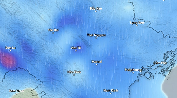 Miền Bắc có mưa diện rộng vào đầu tuần này, tập trung vào sáng và đêm. (Màu xanh da trời là mưa nhỏ và vừa, màu hồng tím là mưa vừa đến mưa to). Ảnh: Zoom Earth, OpenStreetMap.
