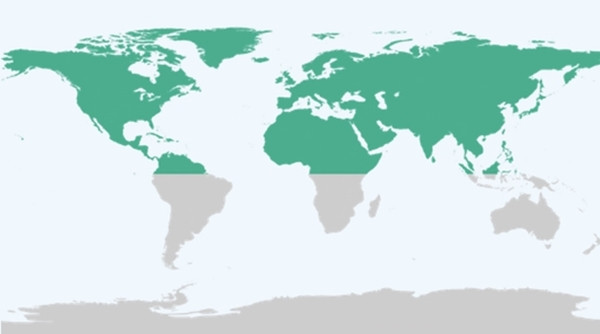 Sắp tới, tiết Xuân phân sẽ bắt đầu ở Bắc Bán cầu (trong đó có nước ta). Ảnh: Time and Date.