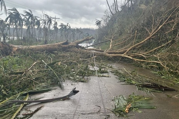 Cây đổ ở tỉnh Catanduanes (Philippines) vào ngày 17/11. Ảnh: MDRRMO Viga Catanduanes/ AP. Cây đổ ở tỉnh Catanduanes (Philippines) vào ngày 17/11. Ảnh: MDRRMO Viga Catanduanes/ AP.