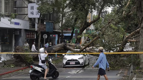 Người dân ở Đài Bắc (Đài Loan, Trung Quốc) đi qua một khu vực có cây lớn bị đổ do gió mạnh của bão Kong-rey. Ảnh chụp ngày 1/11. Ảnh: Chiang Ying-ying/ AP. Người dân ở Đài Bắc (Đài Loan, Trung Quốc) đi qua một khu vực có cây lớn bị đổ do gió mạnh của bão Kong-rey. Ảnh chụp ngày 1/11. Ảnh: Chiang Ying-ying/ AP.