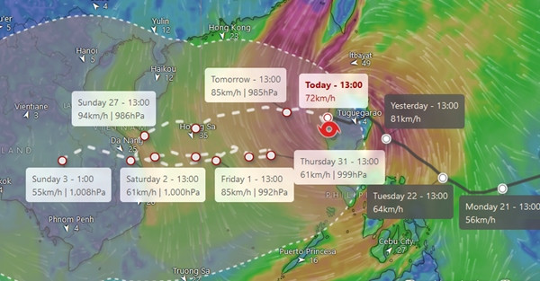 Mô hình của ECMWF dự báo bão Trà Mi đi rất phức tạp và kỳ quặc. Ảnh: Windy. Mô hình của ECMWF dự báo bão Trà Mi đi rất phức tạp và kỳ quặc. Ảnh: Windy.