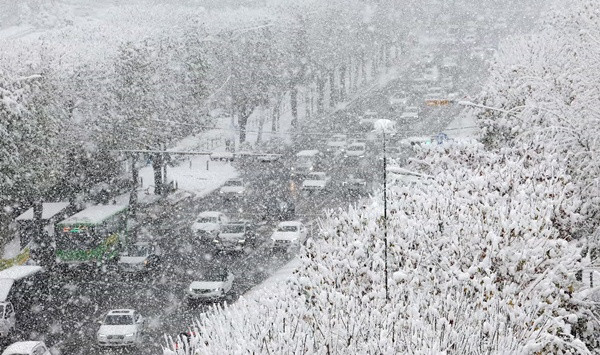 Xe cộ đi lại rất chậm vì tuyết khiến đường trơn trượt và cản trở tầm nhìn. Ảnh: Yonhap/ EPA.