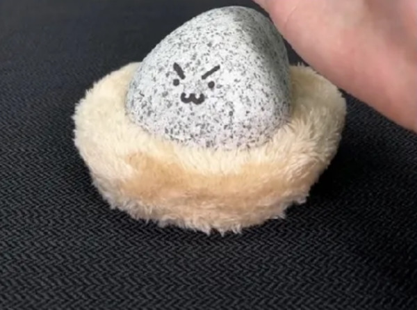 "Đá thú cưng" hay được vẽ mặt dễ thương hoặc hài hước. Ảnh: Yahoo! News.