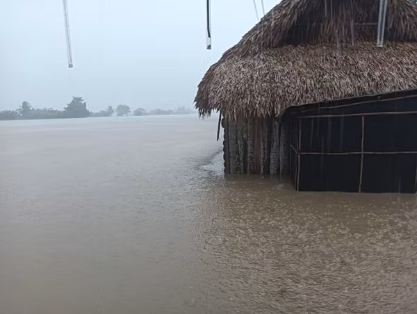 Ngập lụt nghiêm trọng ở vùng Bicol (Philippines) vào hôm nay, 22/10, dù bão Trà Mi chưa đổ bộ. Ảnh: Kilusang Magbubukid ng Pilipinas - Bicol/ Inquirer.