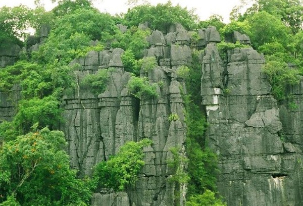 Phong Nha - Kẻ Bàng. Ảnh: Phongnhakebang.vn. Phong Nha - Kẻ Bàng. Ảnh: Phongnhakebang.vn.