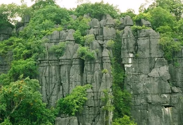 Phong Nha - Kẻ Bàng. Ảnh: Phongnhakebang.vn.