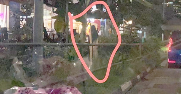 Tăng độ sáng của ảnh lên thì câu chuyện khác hẳn. Ảnh: SCPG.