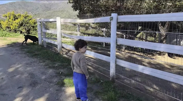 Hoàng tử Archie, con trai của Harry và Meghan. Ảnh: Netflix. Hoàng tử Archie, con trai của Harry và Meghan. Ảnh: Netflix.