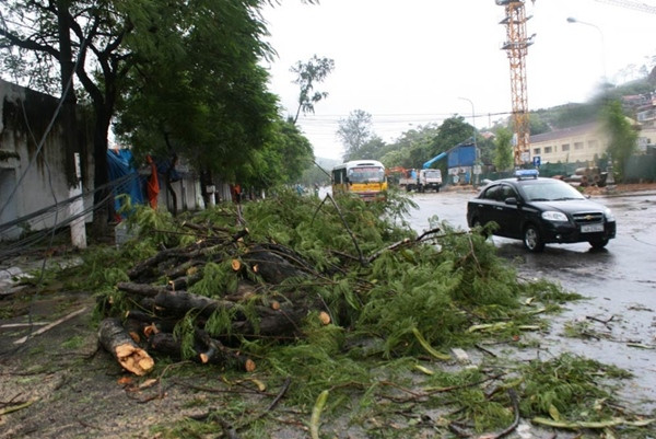 Bão Kalmaegi làm đổ nhiều cây cối ở tỉnh Quảng Ninh vào tháng 9/2014. Ảnh: Bá Đô/ VnExpress. Bão Kalmaegi làm đổ nhiều cây cối ở tỉnh Quảng Ninh vào tháng 9/2014. Ảnh: Bá Đô/ VnExpress.