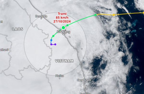 Dự báo của JTWC. Ảnh: Zoom Earth, JMA, JTWC.