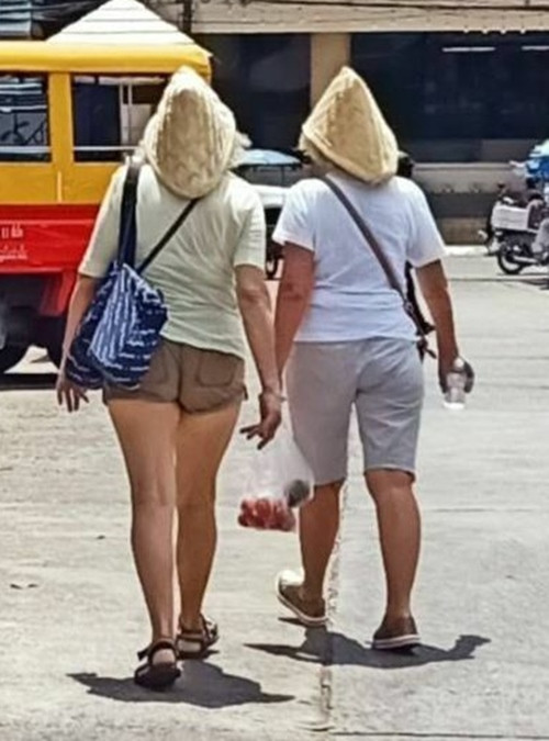 Trông cũng rất hợp lý. Ảnh: The Thaiger.