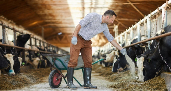 Những người công nhân nhiễm cúm gia cầm có triệu chứng mắt sưng và đỏ. Ảnh minh họa: Shironosov/ iStock.