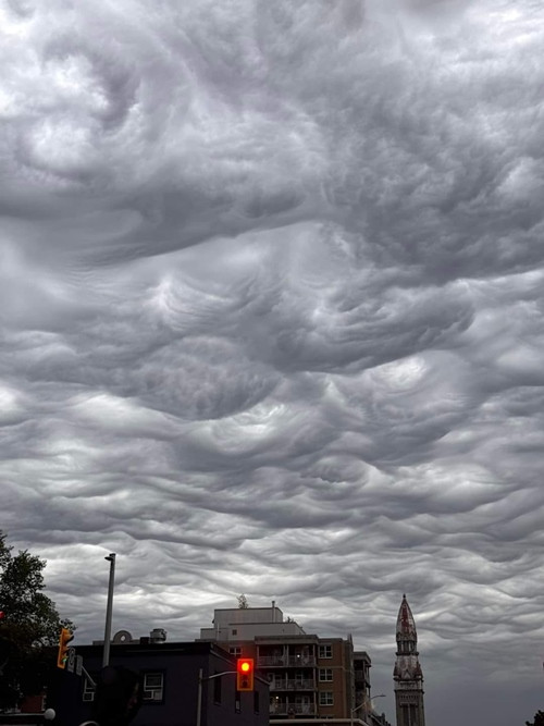 Bầu trời trông như một bức tranh đen trắng. Ảnh: Ann Martin.