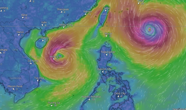Có mô hình dự báo cho thấy đầu tuần sau, bão Trami và bão Kong-rey ở khá gần nhau. Ảnh: Windy. Có mô hình dự báo cho thấy đầu tuần sau, bão Trami và bão Kong-rey ở khá gần nhau. Ảnh: Windy.