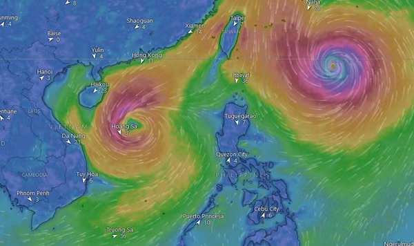 Có mô hình dự báo cho thấy đầu tuần sau, bão Trami và bão Kong-rey ở khá gần nhau. Ảnh: Windy. Có mô hình dự báo cho thấy đầu tuần sau, bão Trami và bão Kong-rey ở khá gần nhau. Ảnh: Windy.