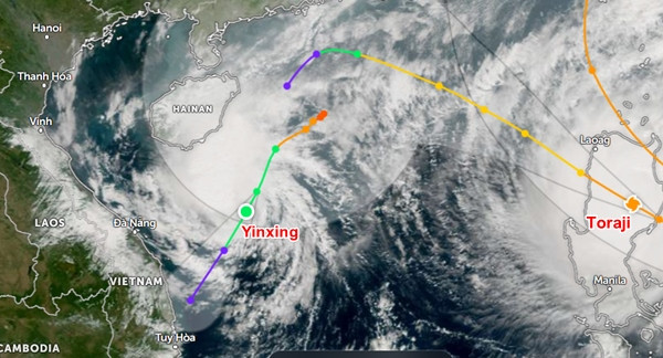 Nếu bão Toraji vào Biển Đông khi bão Yinxing còn chưa suy yếu thành ATNĐ thì ở Biển Đông cũng có một hiện tượng hiếm nữa, là "song bão". Ảnh: Zoom, JMA, JTWC. Nếu bão Toraji vào Biển Đông khi bão Yinxing còn chưa suy yếu thành ATNĐ thì ở Biển Đông cũng có một hiện tượng hiếm nữa, là "song bão". Ảnh: Zoom, JMA, JTWC.