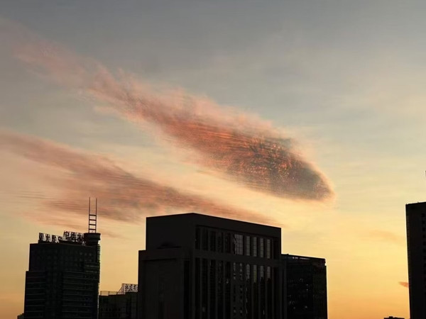 Mây giống hệt con cá rất đẹp ở Phúc Kiến (Trung Quốc). Ảnh: Yangyubin.