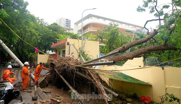 Tại trường Tiểu học Thành Công A (Hà Nội), gốc cây cổ thụ lớn ngã đè đổ tường, kéo theo cột đèn chiếu sáng làm sụp một phần nhà bảo vệ của trường. Ảnh: TPO. Tại trường Tiểu học Thành Công A (Hà Nội), gốc cây cổ thụ lớn ngã đè đổ tường, kéo theo cột đèn chiếu sáng làm sụp một phần nhà bảo vệ của trường. Ảnh: TPO.