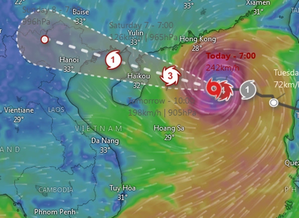 Dự báo của Cơ quan Khí tượng Nhật Bản (JMA). Ảnh: Windy. Dự báo của Cơ quan Khí tượng Nhật Bản (JMA). Ảnh: Windy.