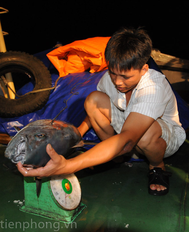 Món quà của biển lần này là con cá thu nặng 13kg. Món quà của biển lần này là một con cá thu lần này nặng 13kg