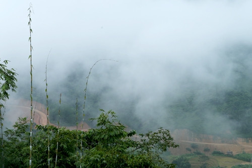 Một tuyến đường mới mở...
