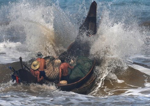 Việc trao giải đặc biệt cho bức 