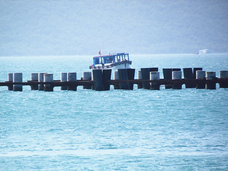 Hàng cọc đã đóng 