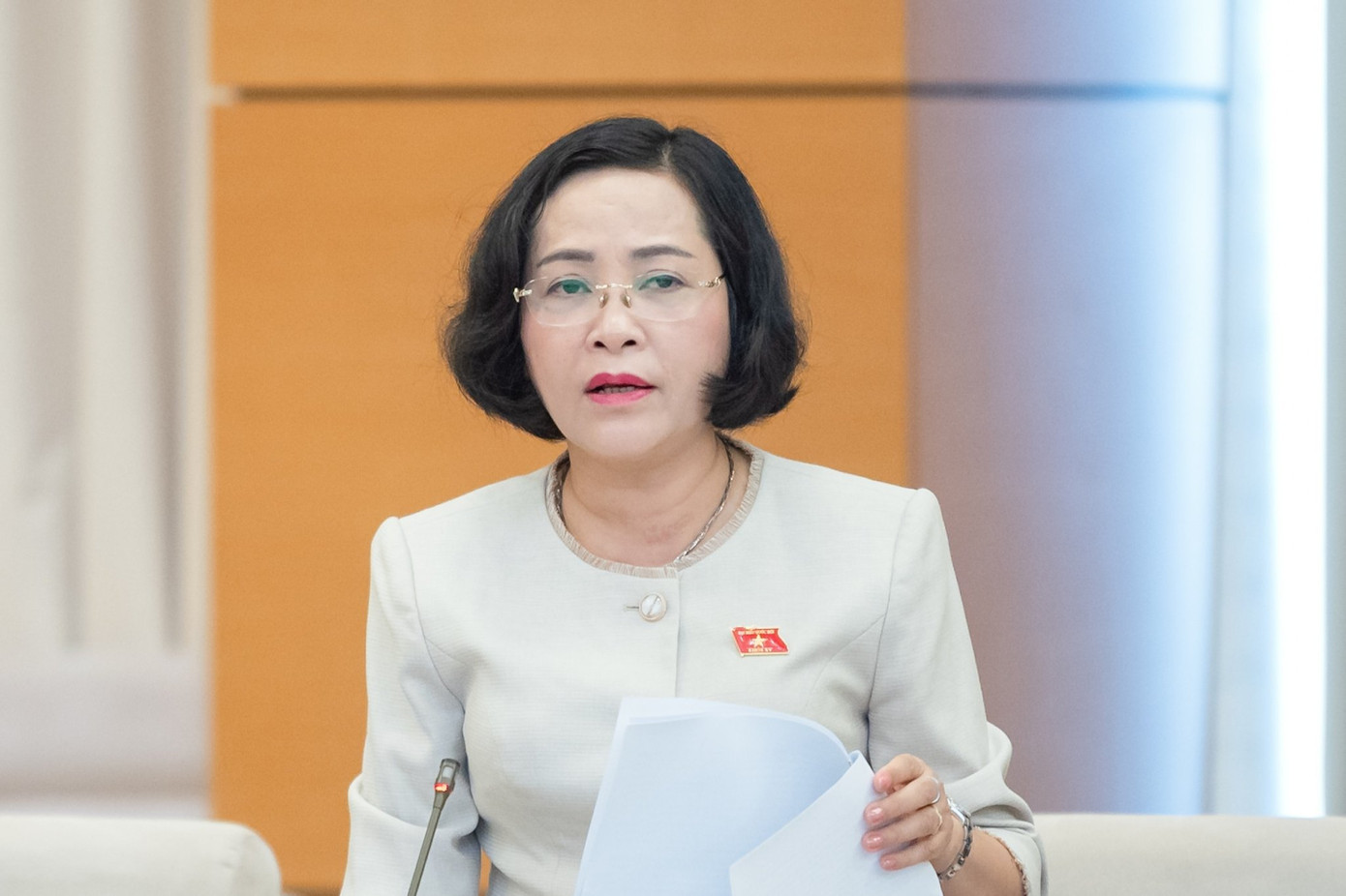 Trưởng Ban Công tác đại biểu Nguyễn Thị Thanh