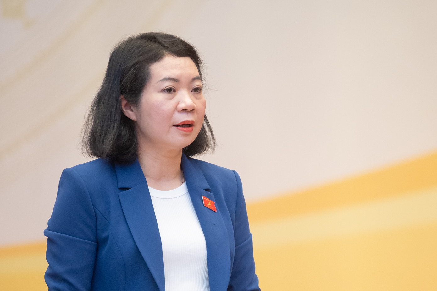 Phó Chủ nhiệm Ủy ban Tư pháp Mai Thị Phương Hoa.