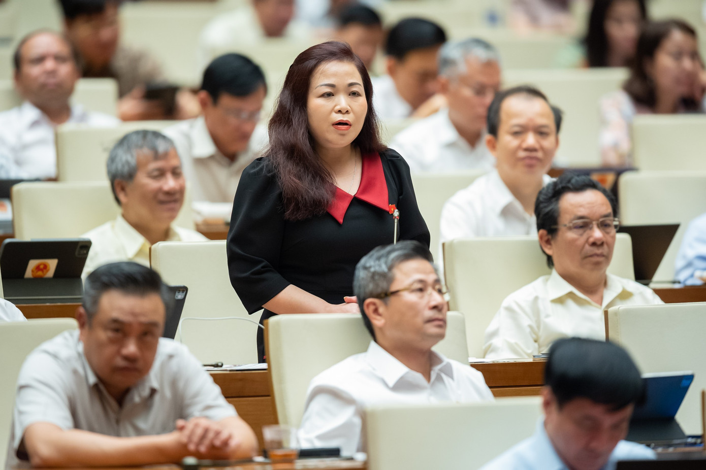 Đại biểu Vũ Thị Lưu Mai (Hà Nội). Ảnh QH Đại biểu Vũ Thị Lưu Mai (Hà Nội). Ảnh QH